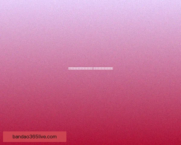 半岛体育世界杯精彩回顾与未来展望 打造全球体育文化交流新平台