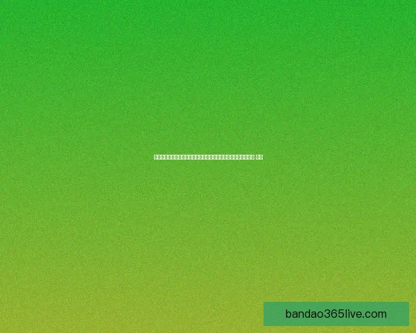 掌握数据分析与临场判断提升世界杯竞猜投注胜率的实战策略指南 ⚽📊