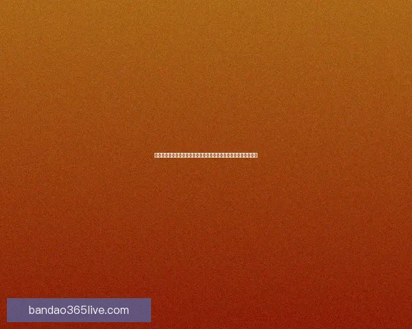 资深球迷解析世界杯足球竞猜数据走势与实战技巧心得全面解读指南