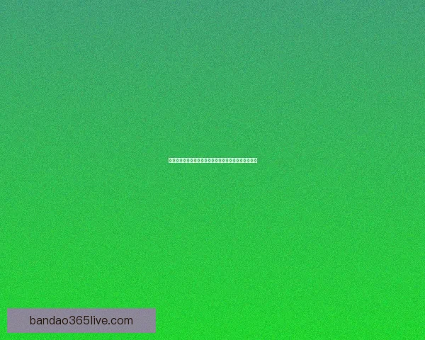 世界杯体育竞猜官网全面解析助您轻松掌握赛事投注技巧