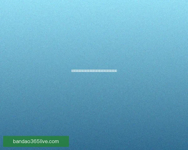 世界杯竞猜赔率平台全方位解析助你轻松掌握赛事动态与投注策略