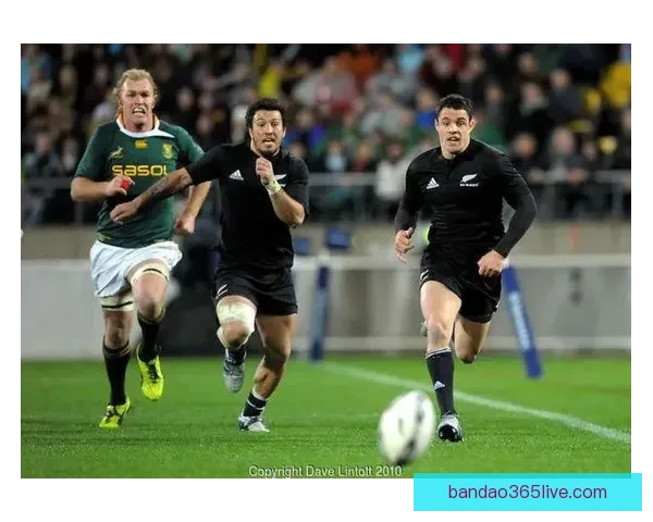 世界杯竞猜胜负规则全解析与实用策略指南