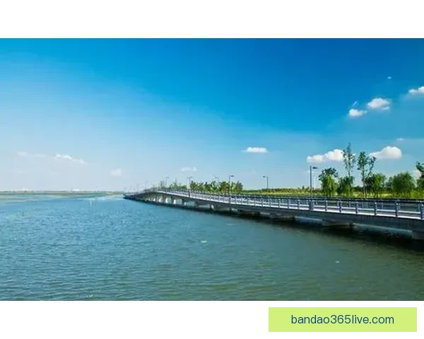 半岛体育APP官方下载体验全新赛事资讯与互动功能