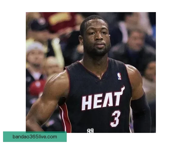 韦德怒批贝弗利总说哈登强自己总冠军经历反击